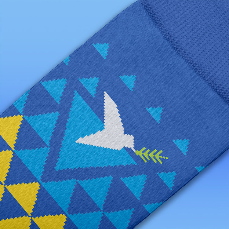 Help Ukraine Socks